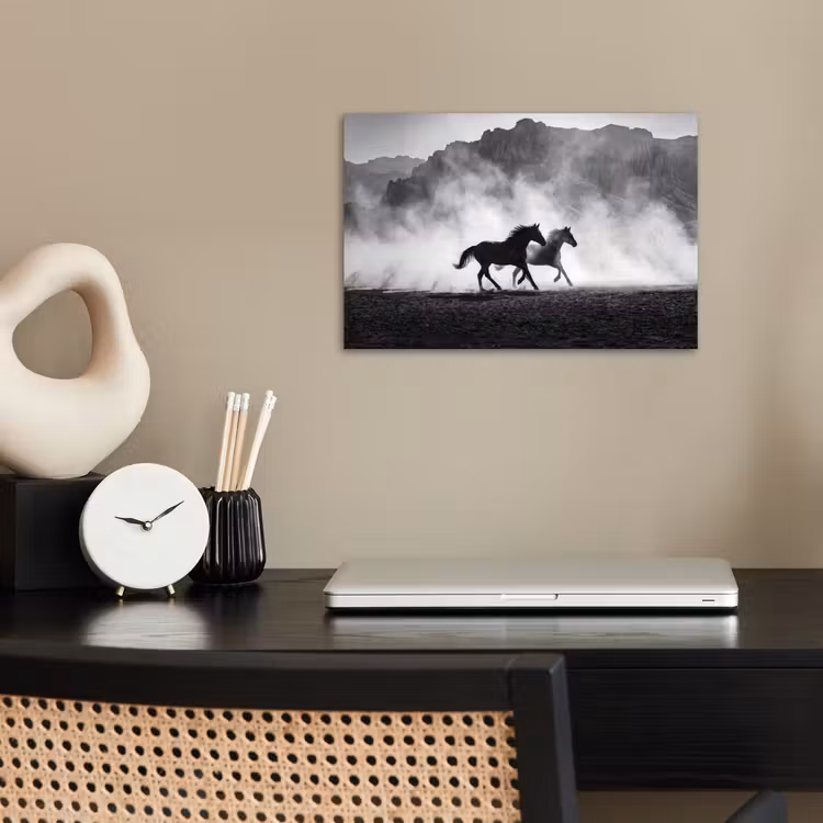 Paard - Ren - Stof - Zwart-wit - Dieren poster papier klein -sfeer1