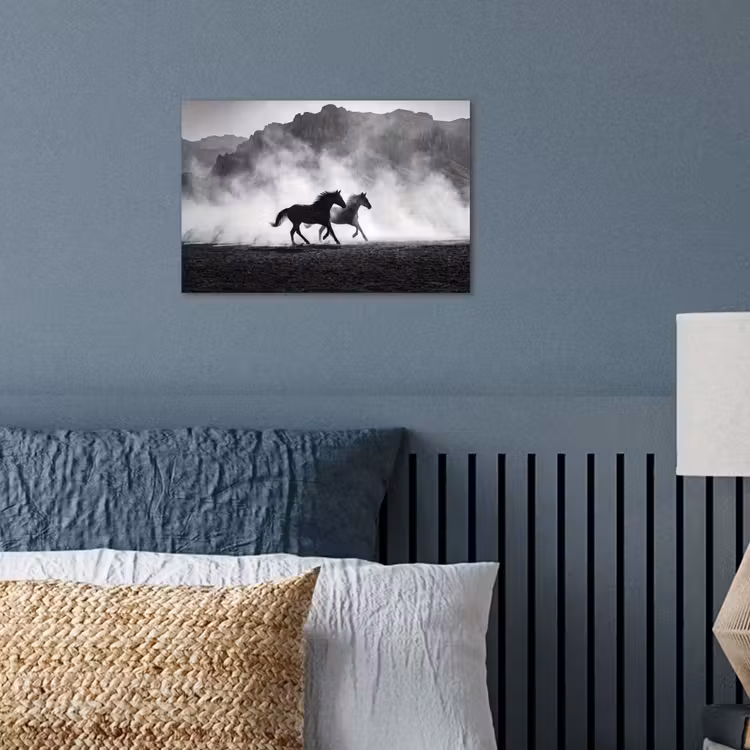 Paard - Ren - Stof - Zwart-wit - Dieren poster papier klein -sfeer2