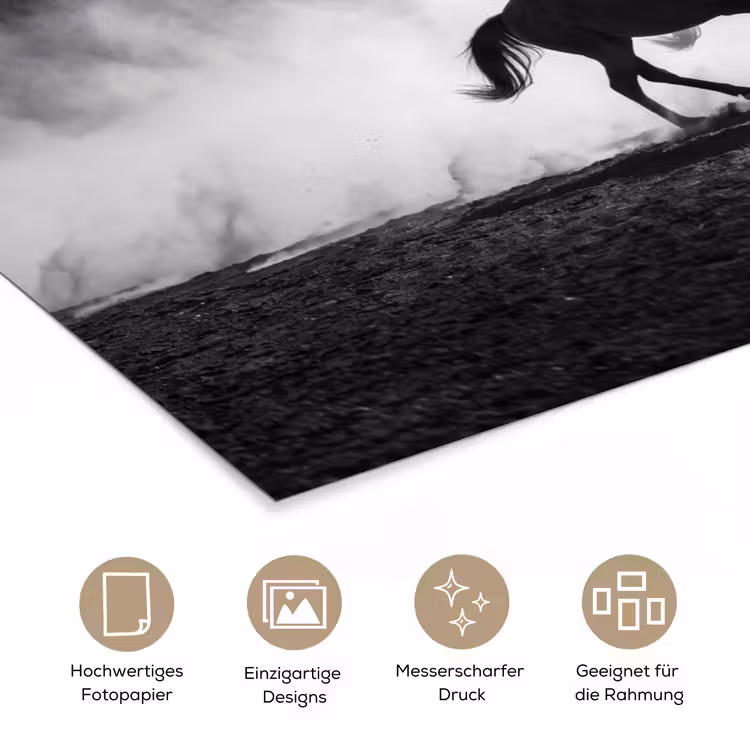 Paard - Ren - Stof - Zwart-wit - Dieren poster papier klein -tcloseup_DE