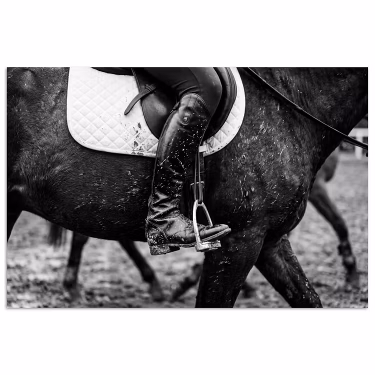 Paard - Sport - Zwart - Wit poster papier klein -3d