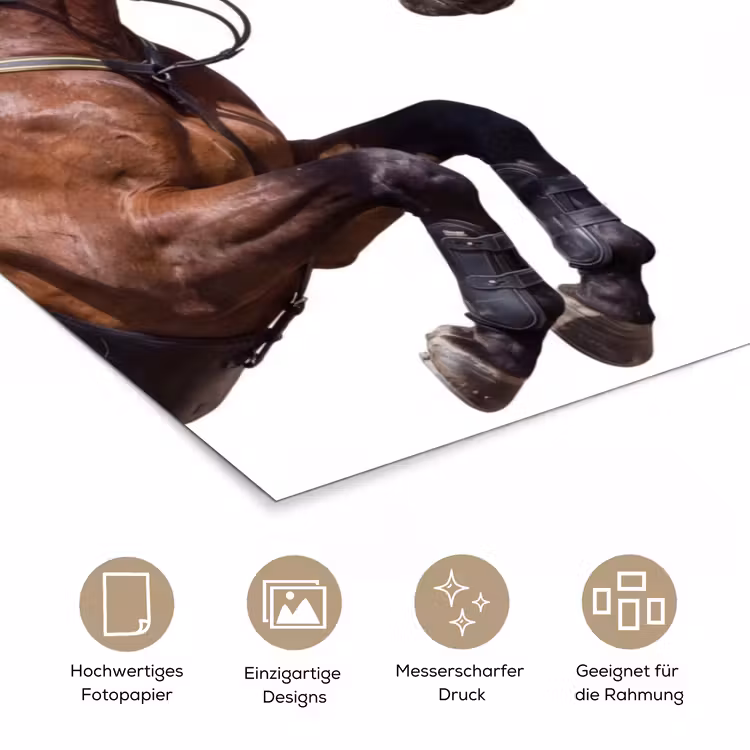 Paard - Springen - Modern poster papier klein -tcloseup_DE