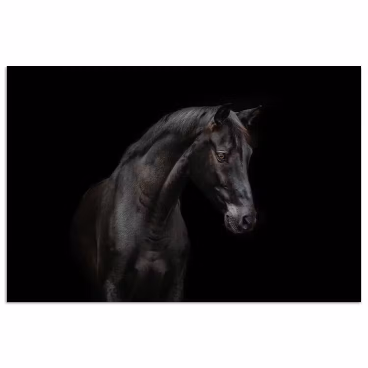 Paard - Dieren - Zwart - Portret poster papier klein -3d