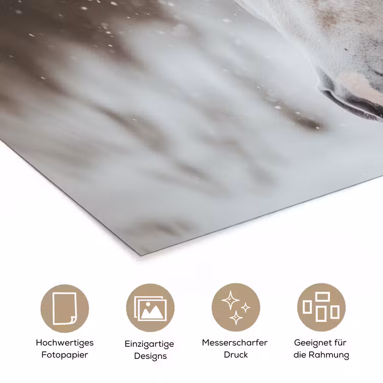 Paard - Wit - Winter - Natuur - Sneeuw - Dieren poster papier klein -tcloseup_DE