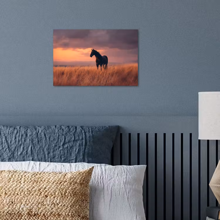 Paard - Wolken - Open veld poster papier klein -sfeer2