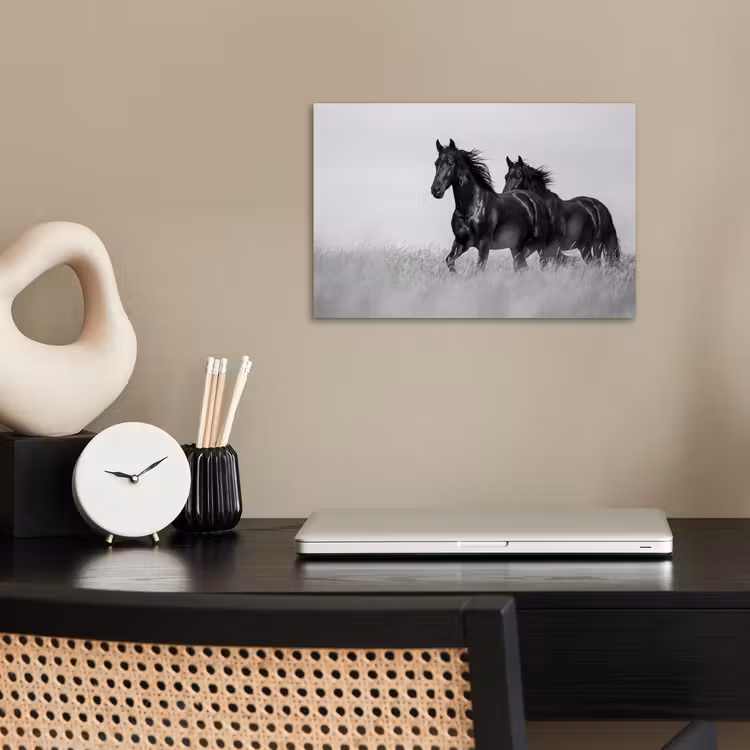 Paarden - Gras - Zwart - Wit poster papier klein -sfeer1