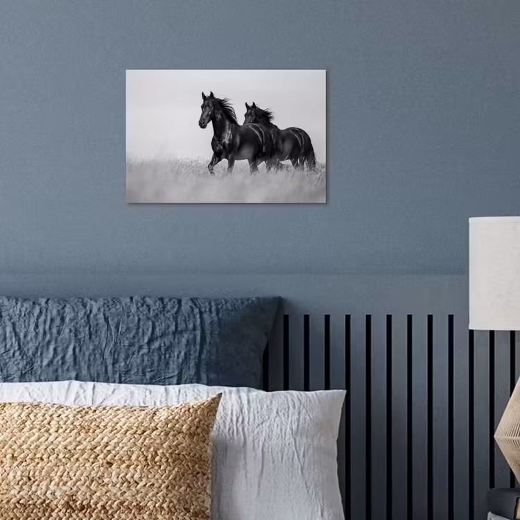 Paarden - Gras - Zwart - Wit poster papier klein -sfeer2