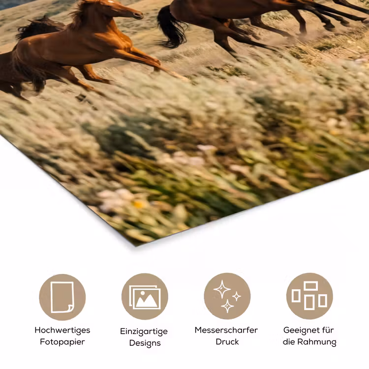 Paarden - Kudde - Bergen - Vrijheid - Wild poster papier klein -tcloseup_DE