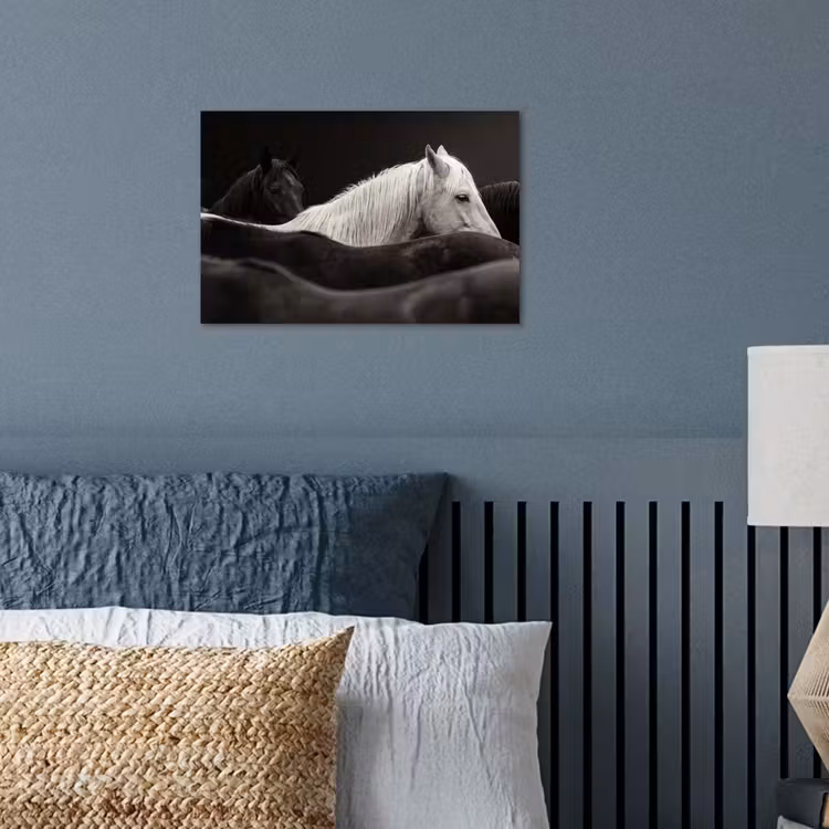 Paarden - Zwart - Wit - Kudde poster papier klein -sfeer2