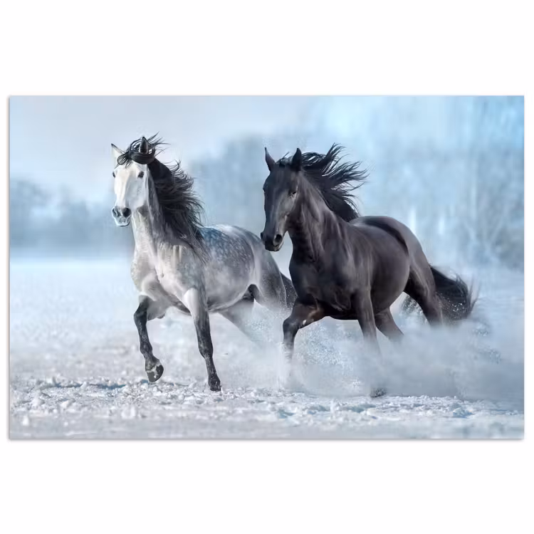 Paarden - Winter - Dieren - Natuur - Sneeuw poster papier klein -3d