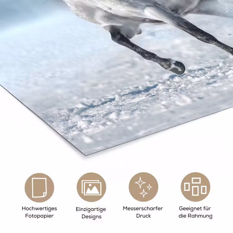 Paarden - Winter - Dieren - Natuur - Sneeuw poster papier klein -tcloseup_DE