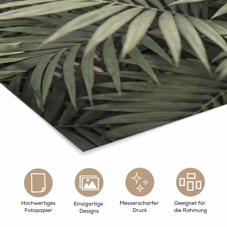 Plant - Palmbladeren - Natuur - Groen poster papier klein -tcloseup_DE