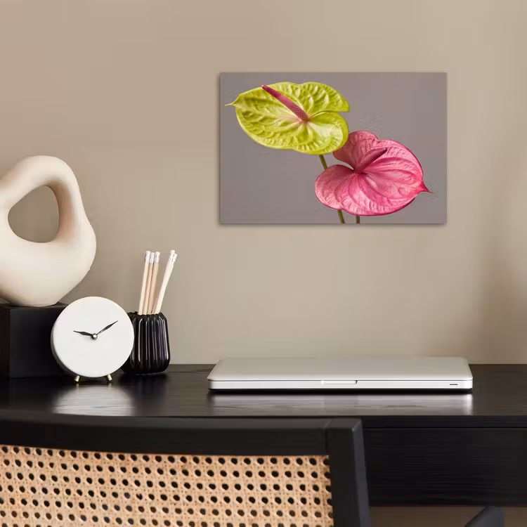 Planten - Anthurium - Groen - Roze poster papier klein -sfeer1