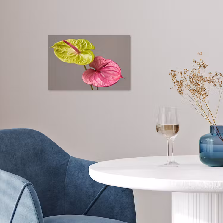 Planten - Anthurium - Groen - Roze poster papier klein -sfeer3