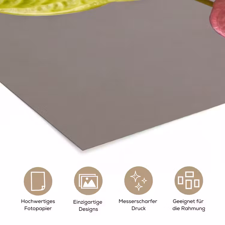 Planten - Anthurium - Groen - Roze poster papier klein -tcloseup_DE