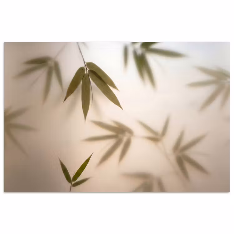 Planten - Bladeren - Natuur - Groen poster papier klein -3d