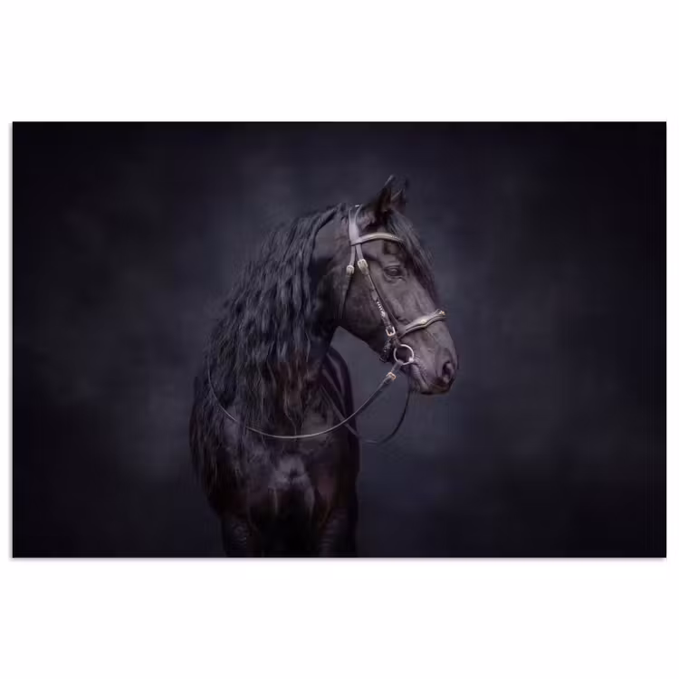 Portret - Paard - Donker poster papier klein -3d