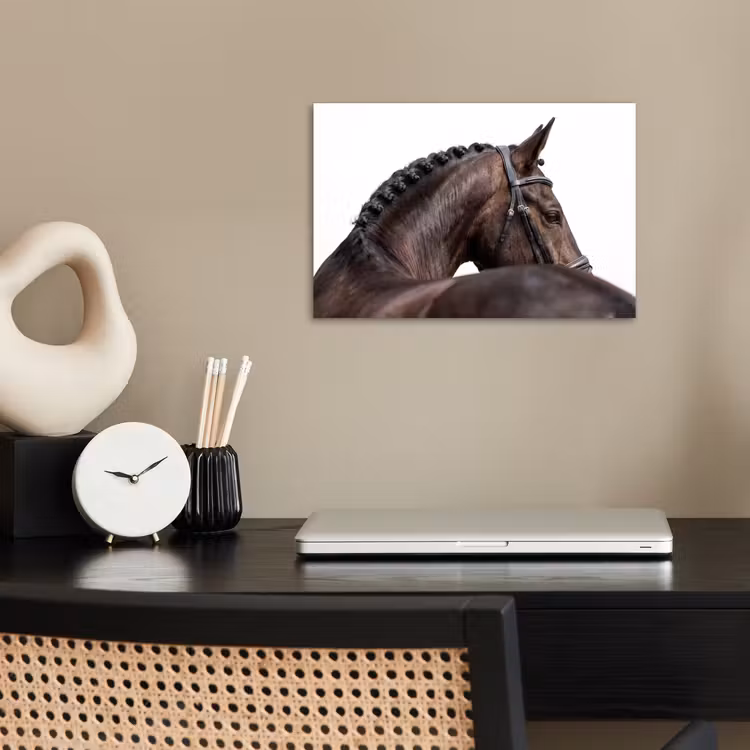 Portret - Paard - Elegant poster papier klein -sfeer1