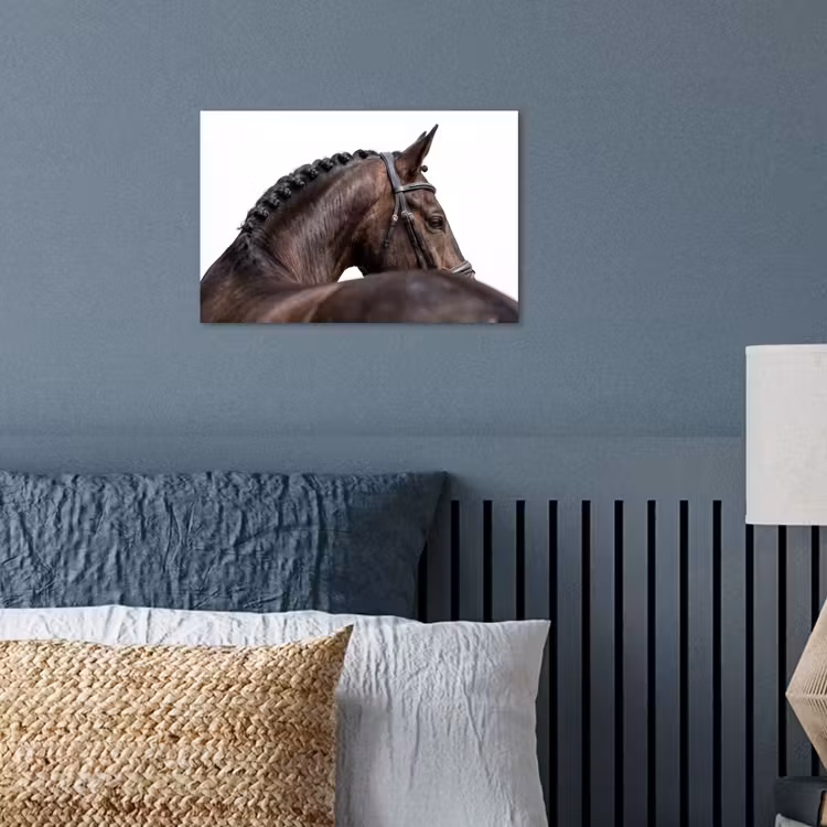 Portret - Paard - Elegant poster papier klein -sfeer2