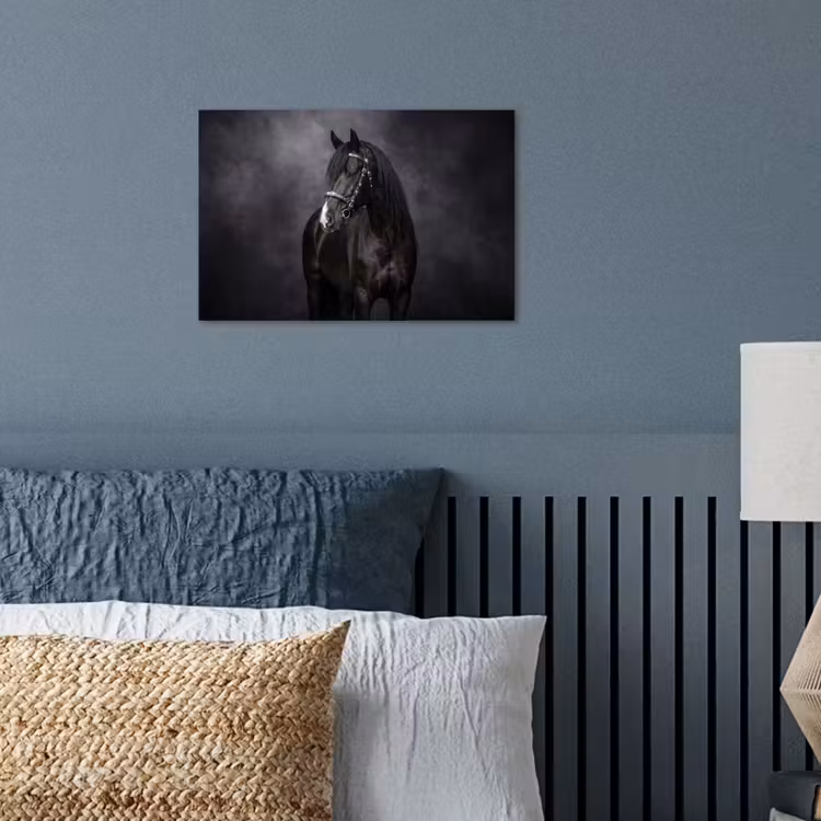 Portret - Paard - Zwart poster papier klein -sfeer2