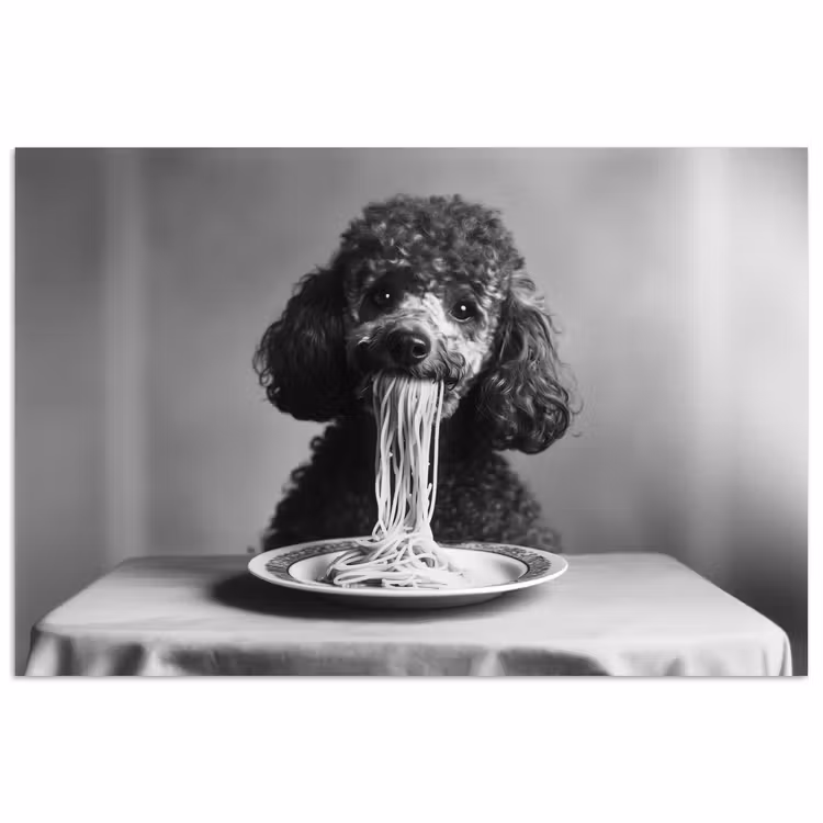 Poedel - Hond - Zwart - Wit - Schattig - Pasta poster papier klein -3d