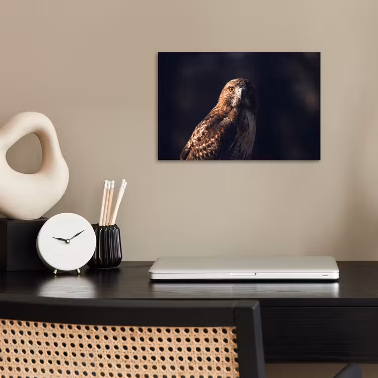 Roofvogel - Buizerd - Bruin poster papier klein -sfeer1
