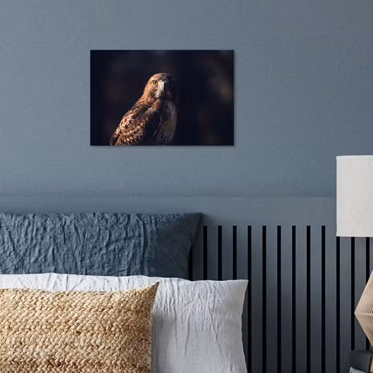 Roofvogel - Buizerd - Bruin poster papier klein -sfeer2