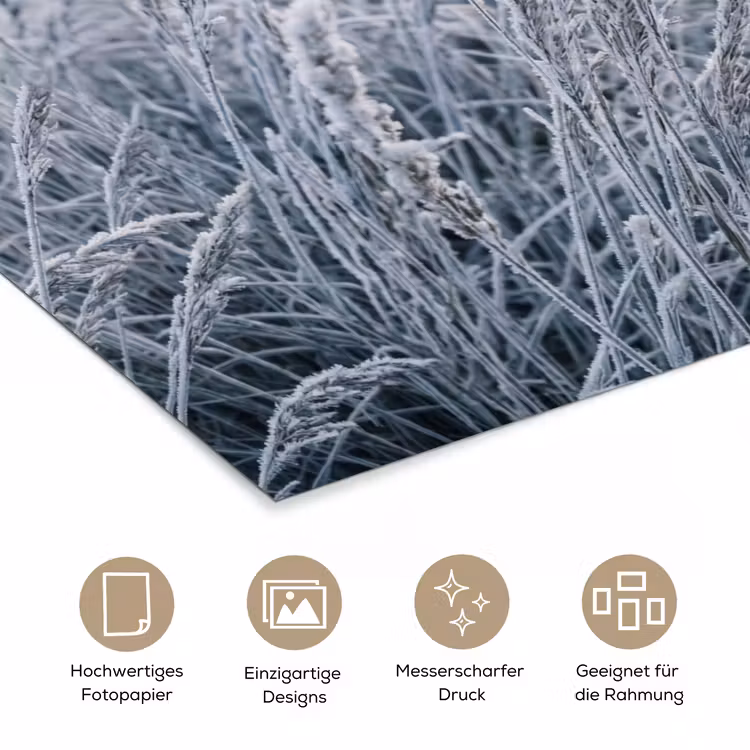 Rijp - Gras - Kristallen - Winter - Minimalistisch poster papier klein -tcloseup_DE