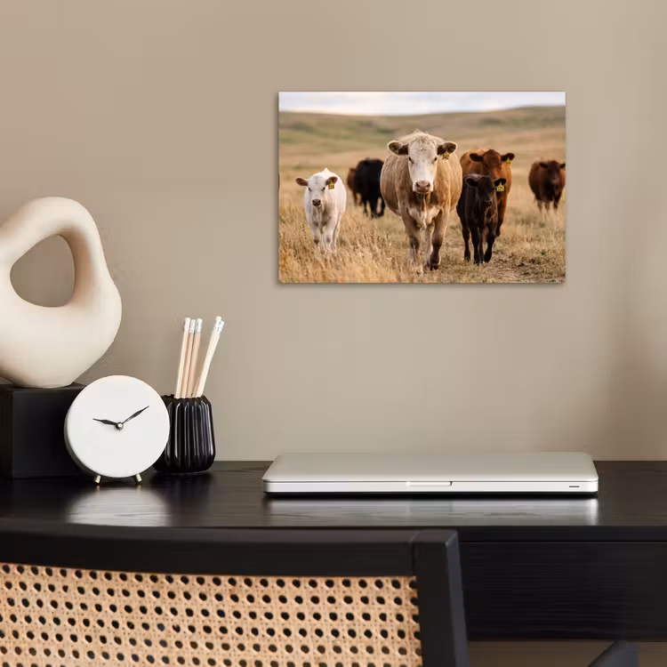 Runderen - Kudde - Landschap - Weide - Rustig poster papier klein -sfeer1