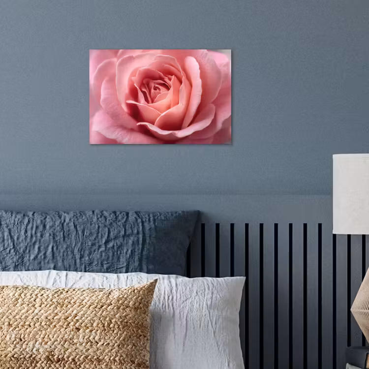 Roze - Roos - Romantisch poster papier klein -sfeer2