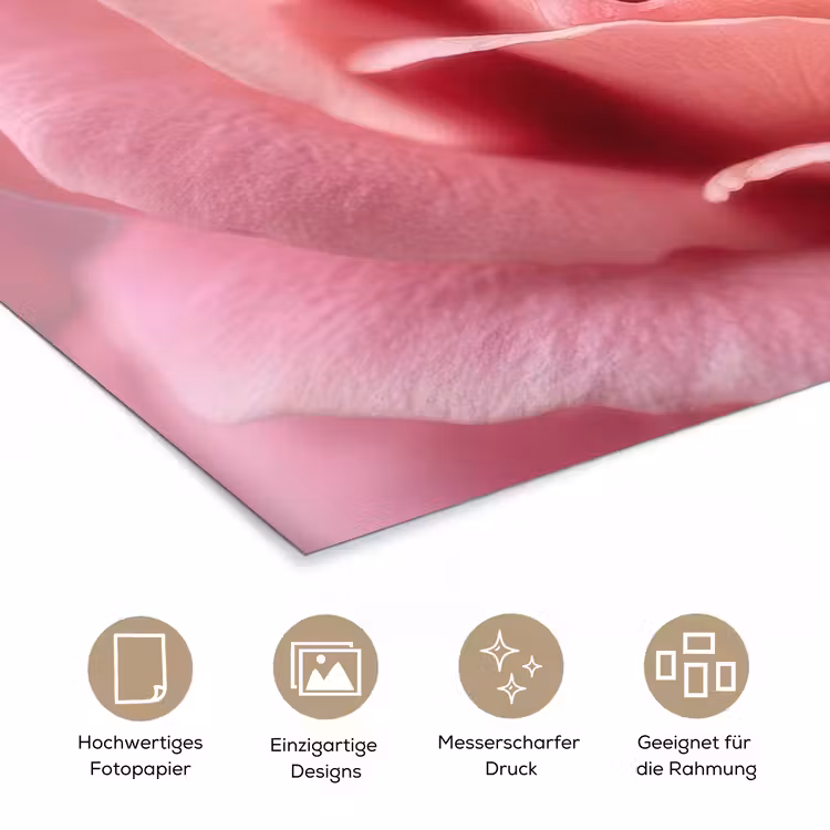 Roze - Roos - Romantisch poster papier klein -tcloseup_DE