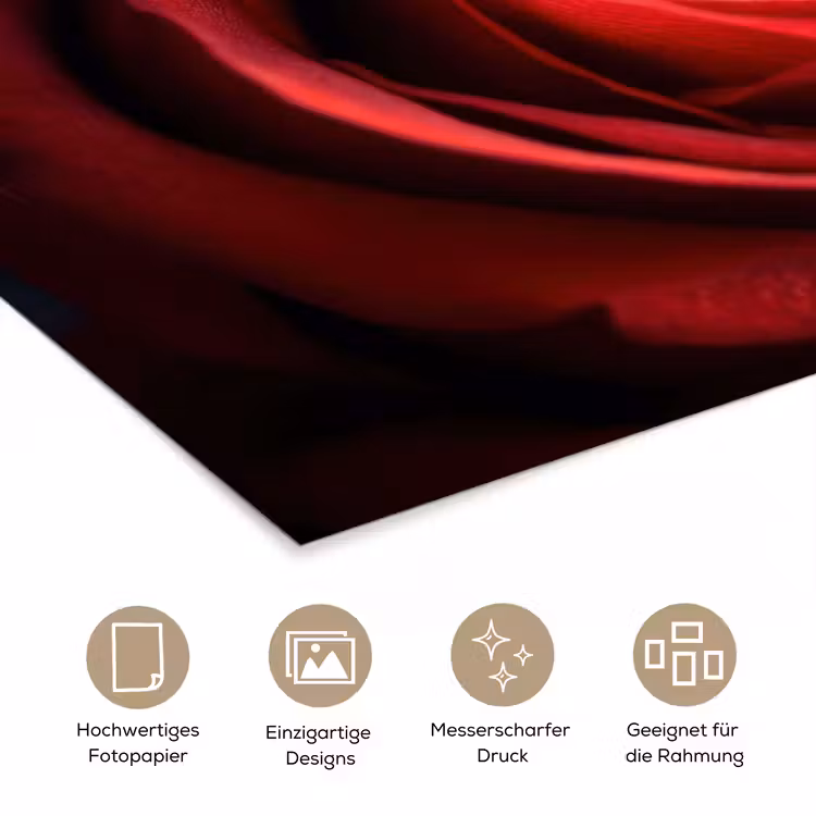 Rood - Roos - Romantisch poster papier klein -tcloseup_DE