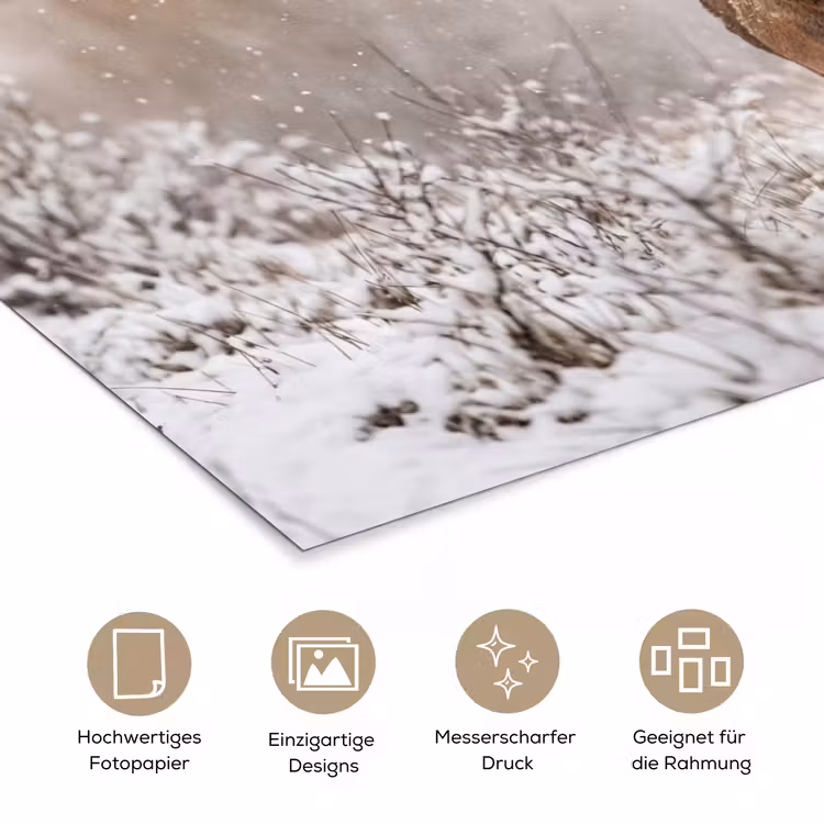 Edelhert - Bos - Sneeuw - Winter - Majestueus poster papier klein -tcloseup_DE