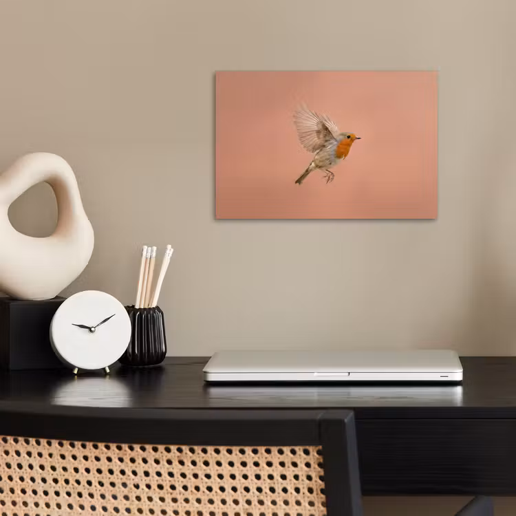 Roodborst - Natuur - Roze poster papier klein -sfeer1