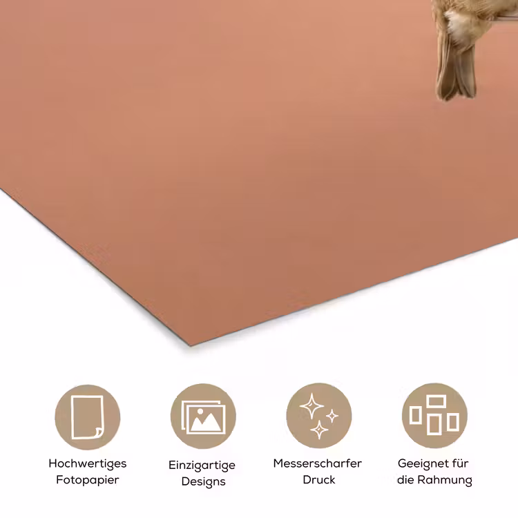 Roodborst - Natuur - Roze poster papier klein -tcloseup_DE