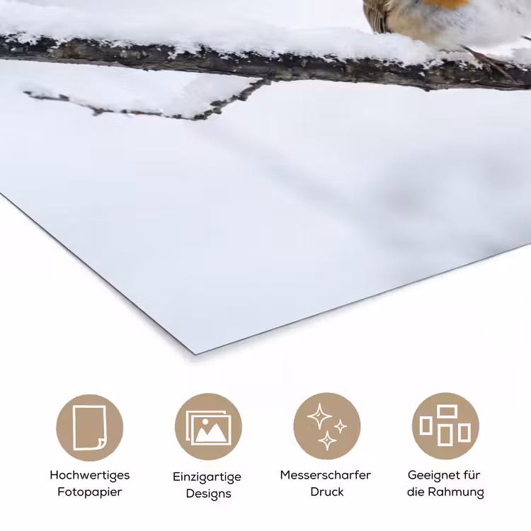 Roodborstje - Tak - Sneeuw - Winter - Levendig poster papier klein -tcloseup_DE