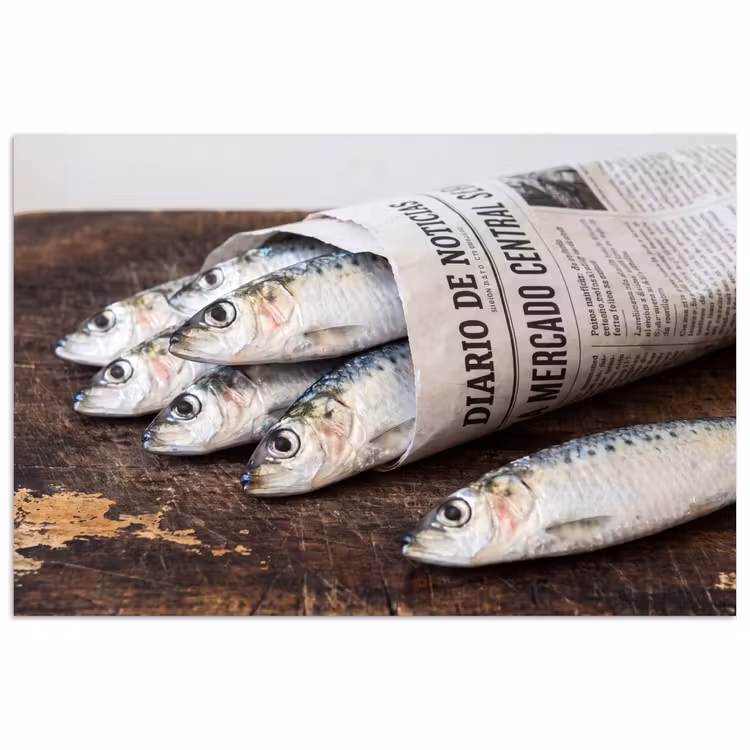 Poster - Sardine – Zeitung – Schneidebrett - Sardientje - krant - snijplank poster papier klein