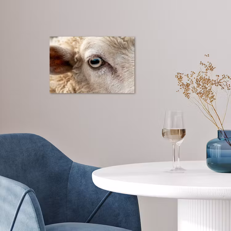 Schaap - Oog - Wit poster papier klein -sfeer3