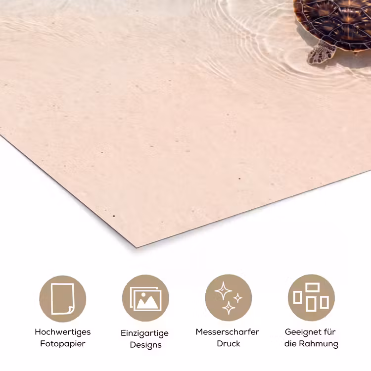 Schildpad - Helder water - Strand - Dieren - Natuur poster papier klein -tcloseup_DE