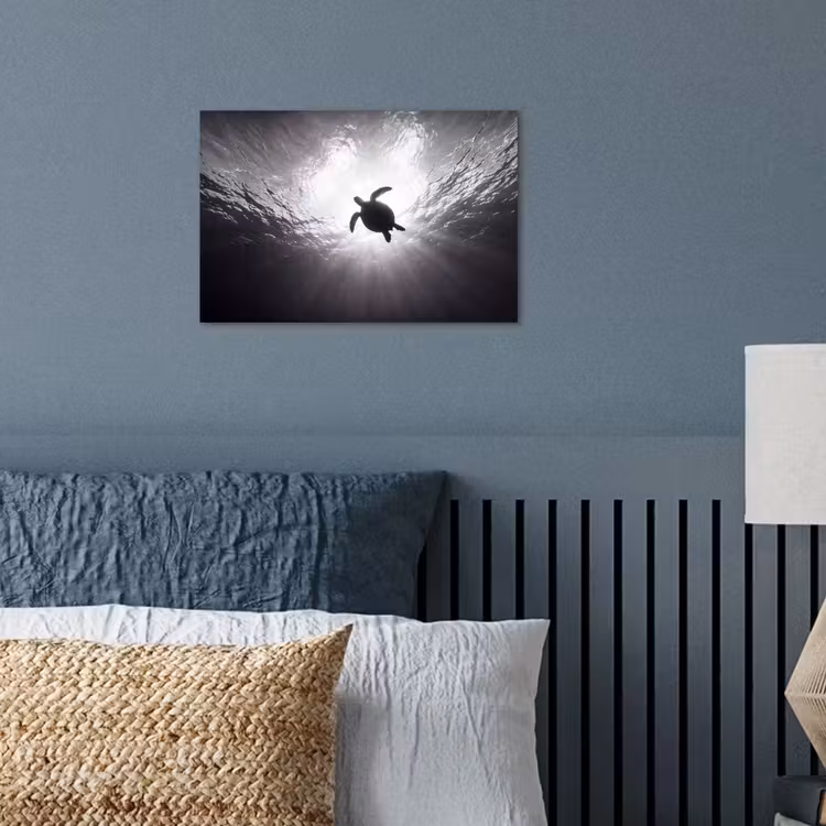 Schildpad - Onderwater - Lichtstralen - Oceaan - Zwart-wit poster papier klein -sfeer2