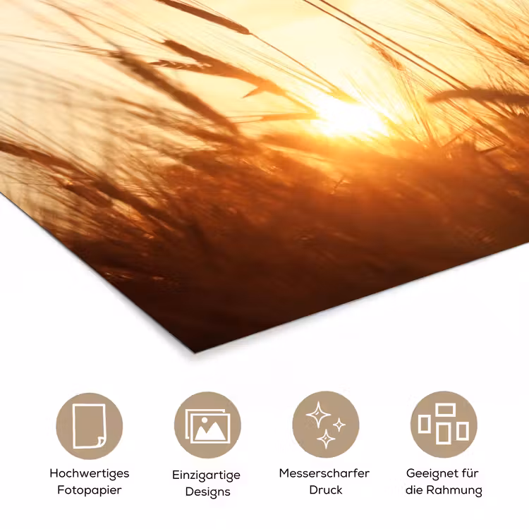 Riet - Gras - Zonsondergang - Natuur - Horizon poster papier klein -tcloseup_DE