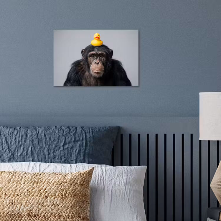 Chimpansee - Badeend - Grijs poster papier klein -sfeer2