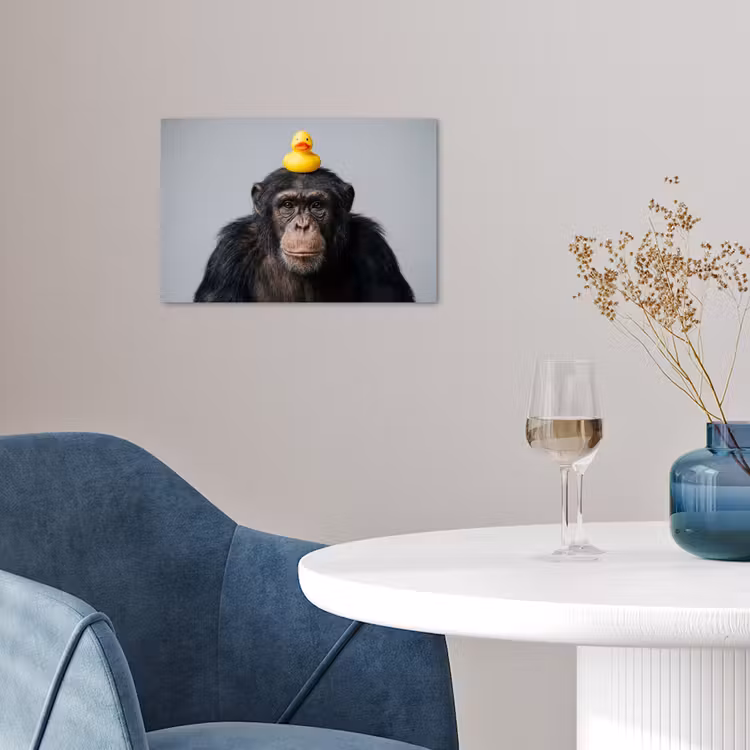 Chimpansee - Badeend - Grijs poster papier klein -sfeer3