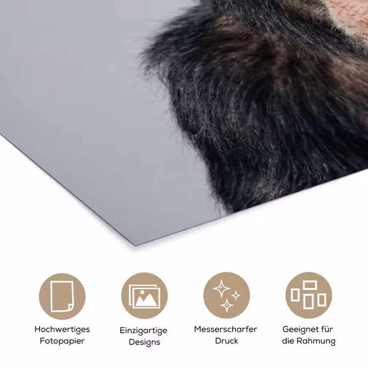 Chimpansee - Badeend - Grijs poster papier klein -tcloseup_DE