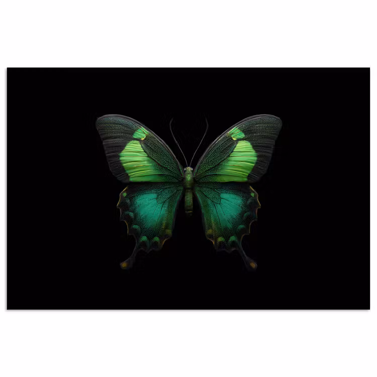 Vlinder - Groen - Opvallend poster papier klein -3d