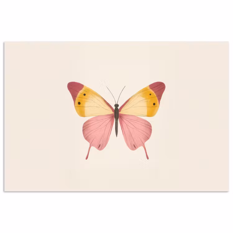 Vlinder - Illustratie - Roze poster papier klein -3d