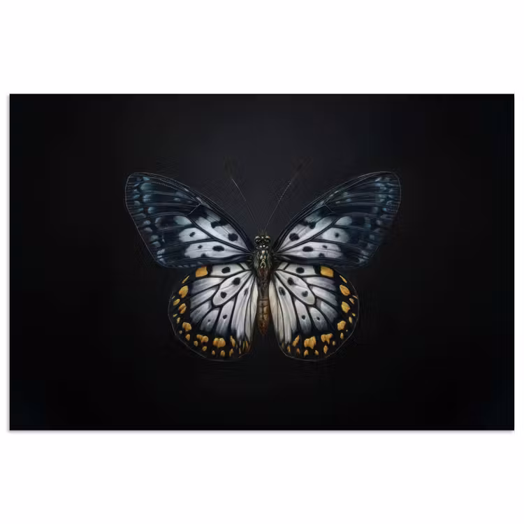 Vlinder - Monochroom - Balans poster papier klein -3d