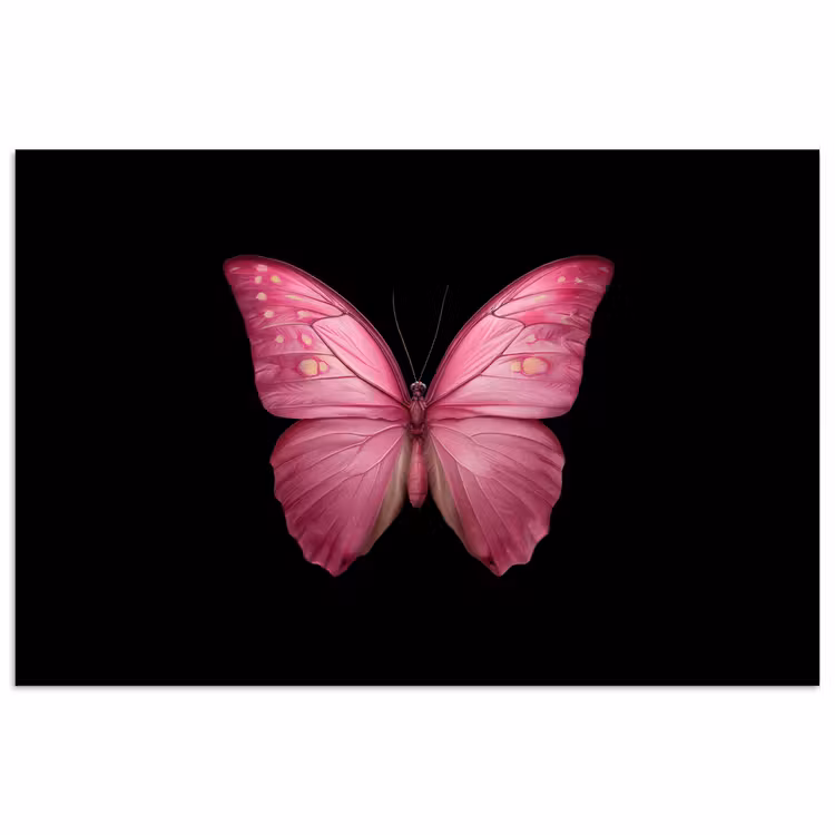 Vlinder - roze - Elegant poster papier klein -3d