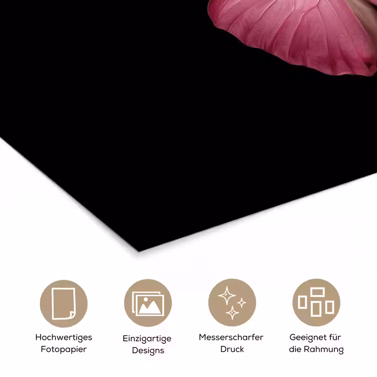 Vlinder - roze - Elegant poster papier klein -tcloseup_DE