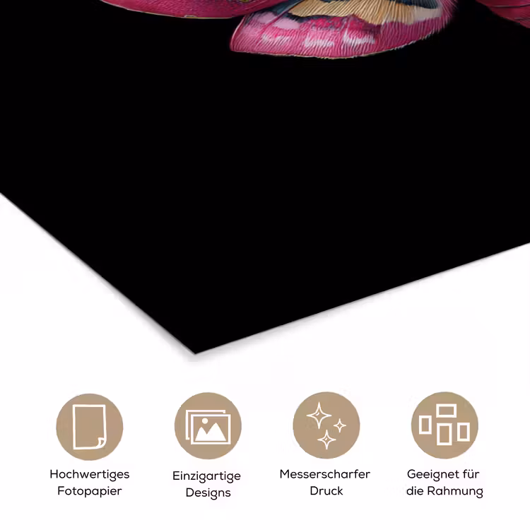 Vlinder - Roze - Nachtvlinder poster papier klein -tcloseup_DE