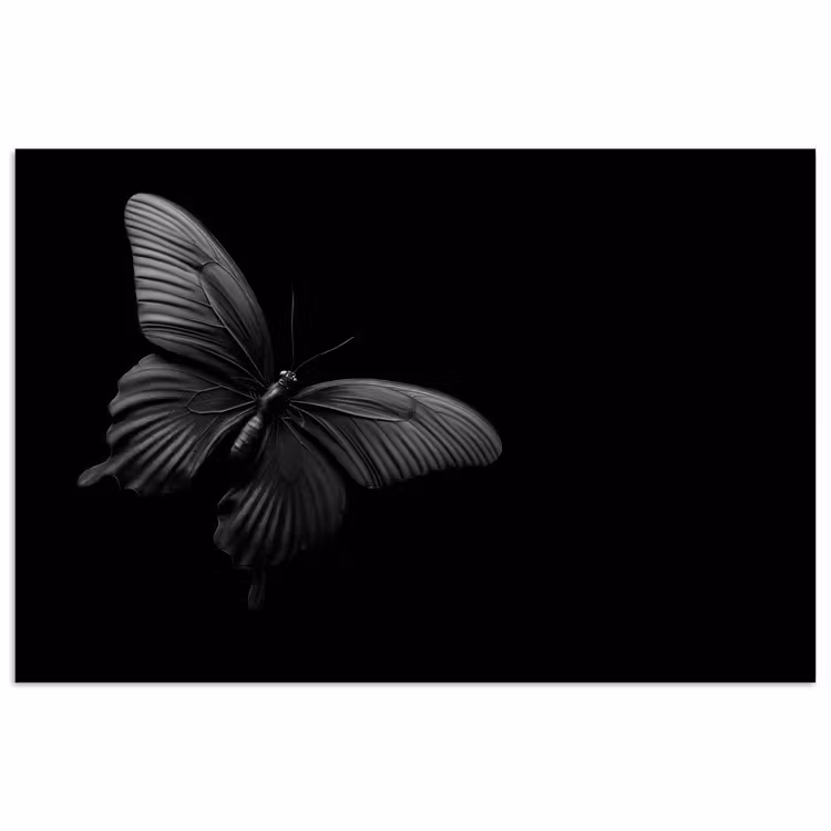 Vlinder - Zwart - Insect - Dieren poster papier klein -3d